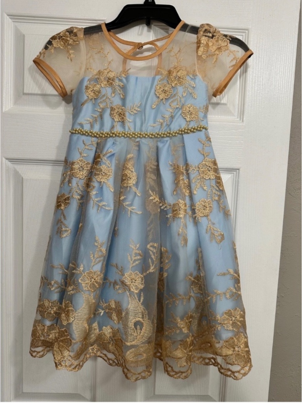 Golden Princess Floral Lace Sheer Dress Size 5